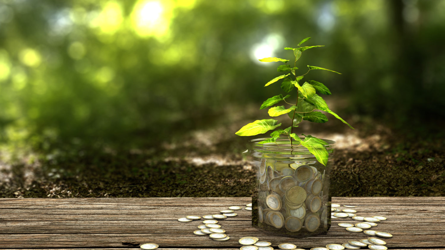 Plant growing from money jar. Concept of financial investment.